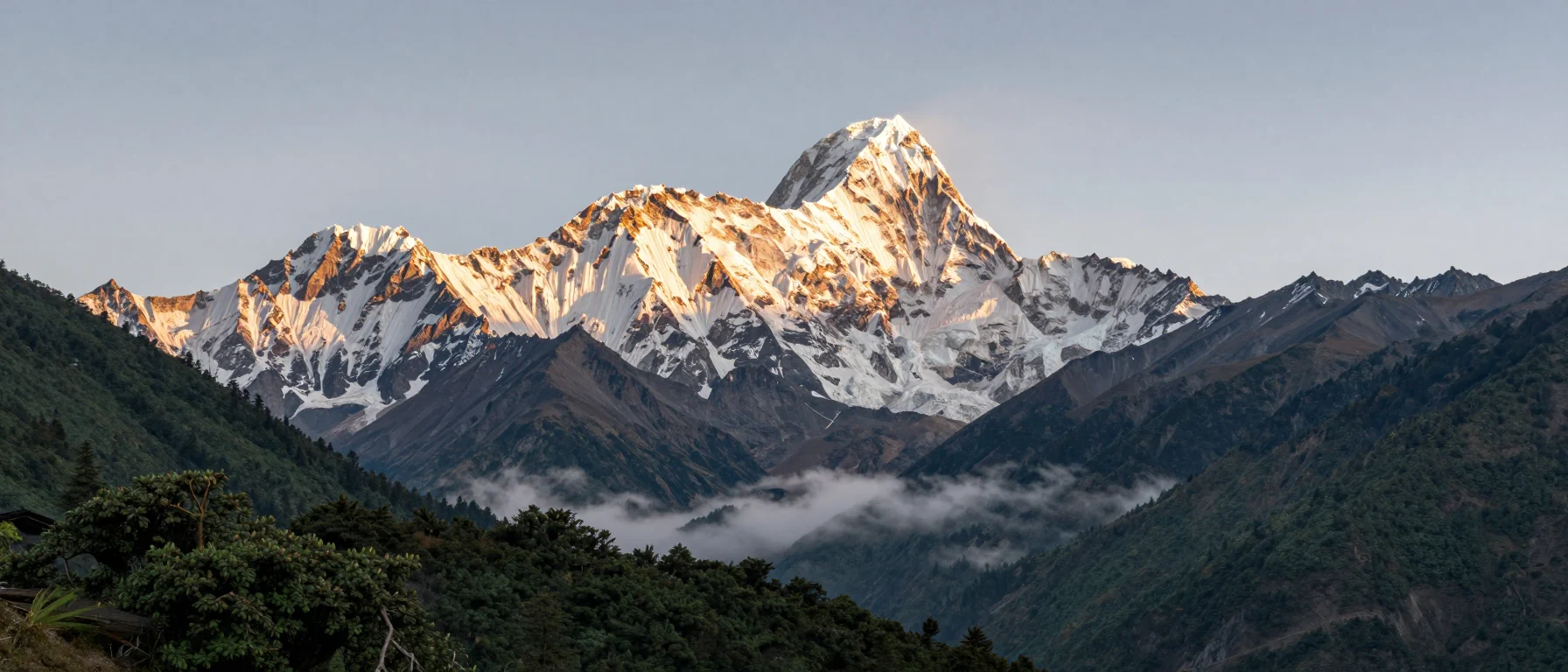 The Langtang range, snow peaks above forested hills in the early morning light, Nepal